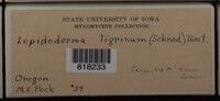 Image Associated With the Occurence